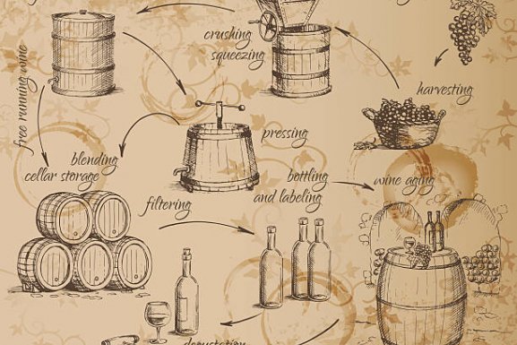 Learn The 5 Steps of The Wine Making Process